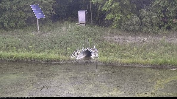 Basin Inflow_23-08-30_09-54-34-06