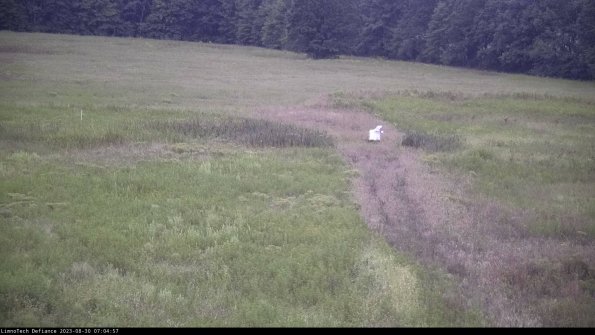 Cell 1 to 2_23-08-30_07-04-57-85