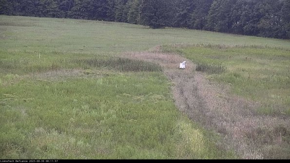 Cell 1 to 2_23-08-30_08-11-57-88