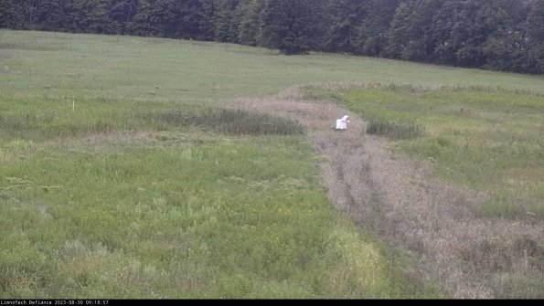 Cell 1 to 2_23-08-30_09-18-57-88