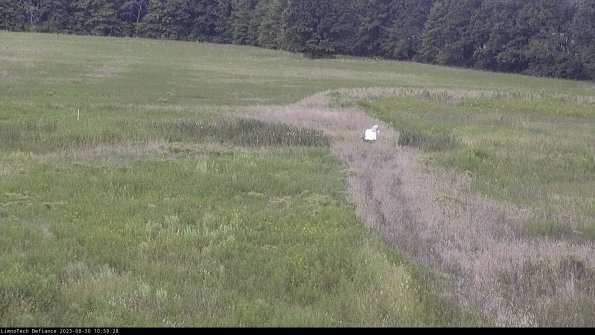 Cell 1 to 2_23-08-30_10-59-28-91