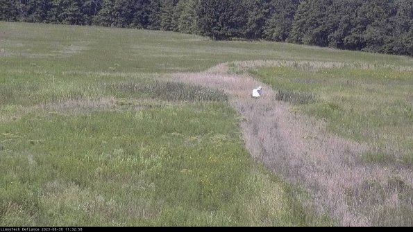 Cell 1 to 2_23-08-30_11-32-58-87