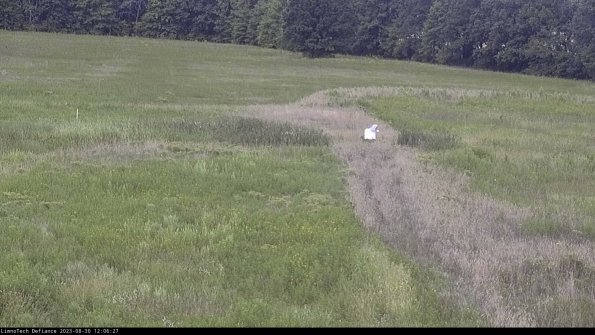 Cell 1 to 2_23-08-30_12-06-27-89