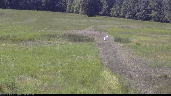 Cell 1 to 2_23-08-30_14-53-57-89