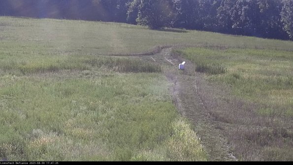 Cell 1 to 2_23-08-30_17-41-25-89