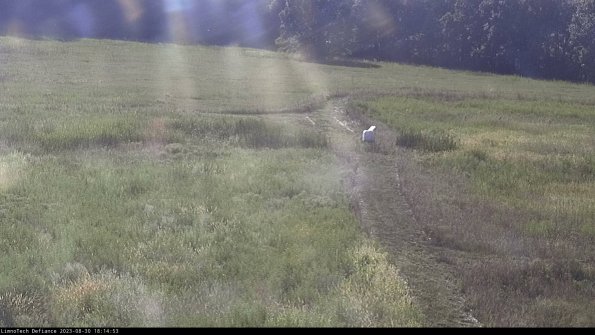 Cell 1 to 2_23-08-30_18-14-53-88