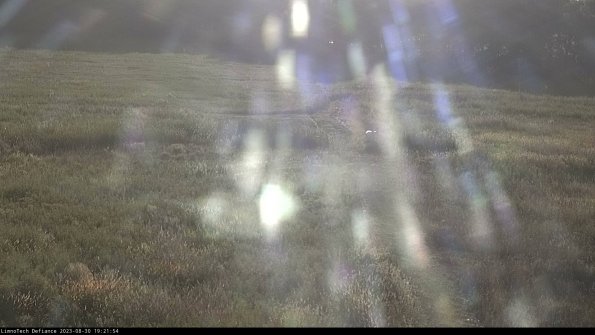 Cell 1 to 2_23-08-30_19-21-54-89