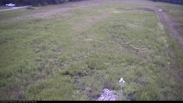 Cell 1_23-08-30_07-04-43-87