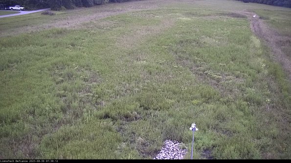 Cell 1_23-08-30_07-38-12-88