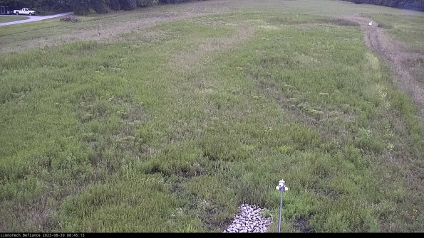 Cell 1_23-08-30_08-45-13-89