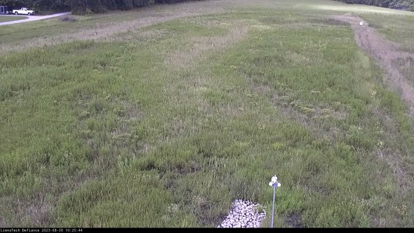 Cell 1_23-08-30_10-25-44-88