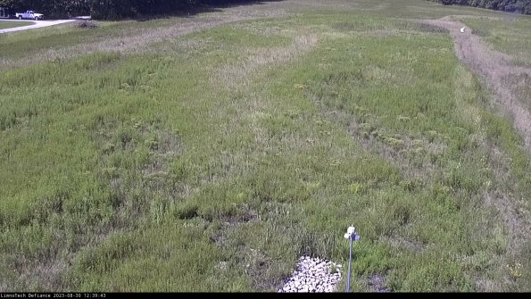 Cell 1_23-08-30_12-39-43-86