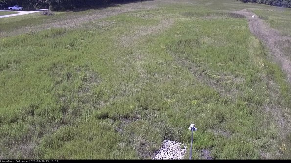 Cell 1_23-08-30_13-13-13-88