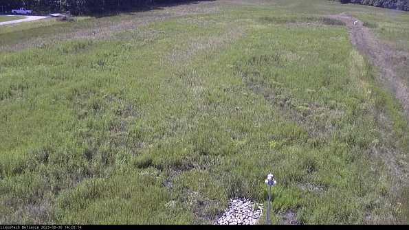 Cell 1_23-08-30_14-20-14-85