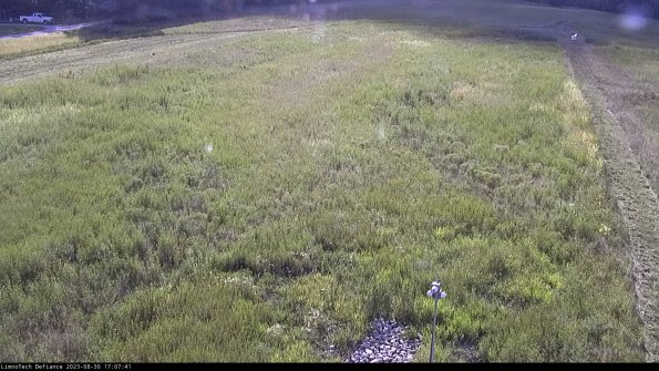 Cell 1_23-08-30_17-07-41-86