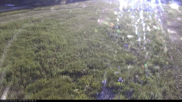 Cell 1_23-08-30_18-48-10-85