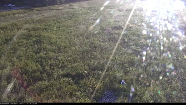 Cell 1_23-08-30_19-21-40-87