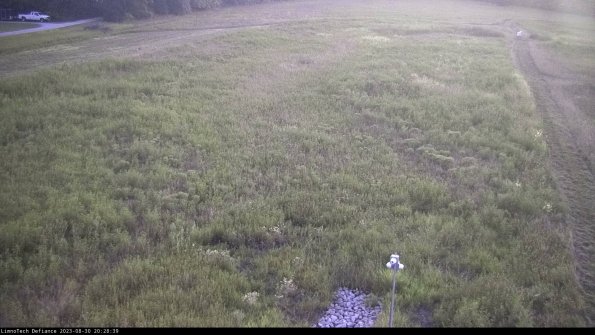 Cell 1_23-08-30_20-28-39-88