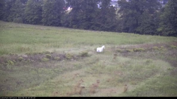 Cell 2 to 3_23-08-30_07-05-24-07