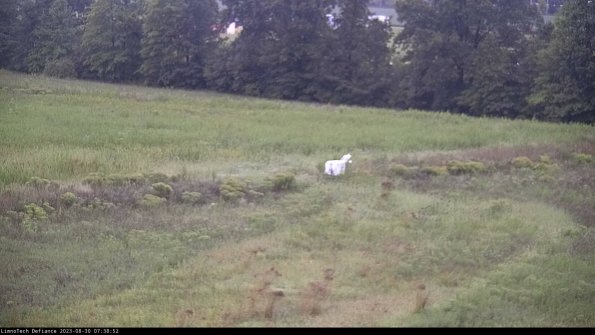 Cell 2 to 3_23-08-30_07-38-52-99