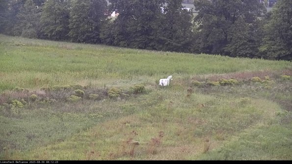 Cell 2 to 3_23-08-30_08-12-23-94