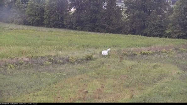 Cell 2 to 3_23-08-30_09-19-23-94