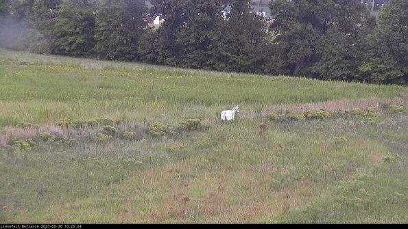 Cell 2 to 3_23-08-30_10-26-25-02