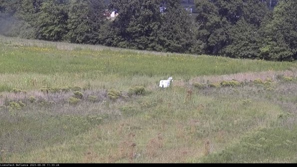 Cell 2 to 3_23-08-30_11-33-24-99