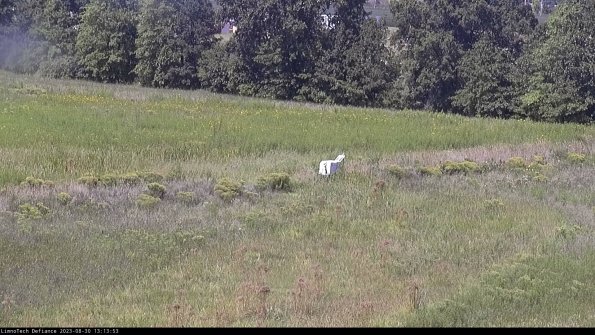 Cell 2 to 3_23-08-30_13-13-54-05