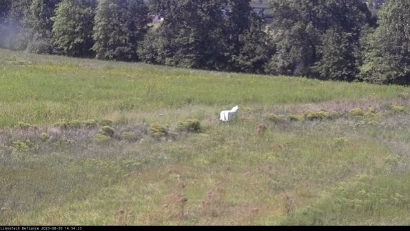 Cell 2 to 3_23-08-30_14-54-24-01