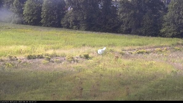 Cell 2 to 3_23-08-30_16-01-22-09