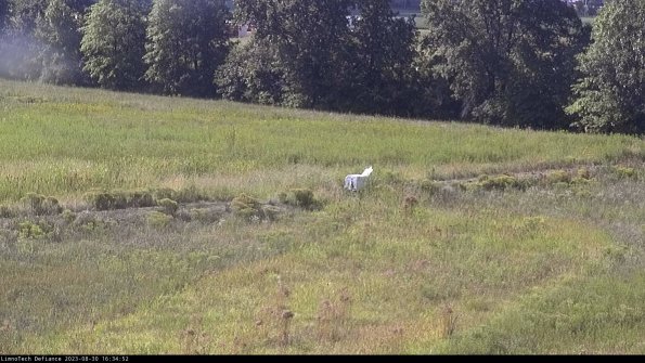 Cell 2 to 3_23-08-30_16-34-53-04