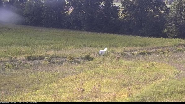 Cell 2 to 3_23-08-30_17-08-22-03