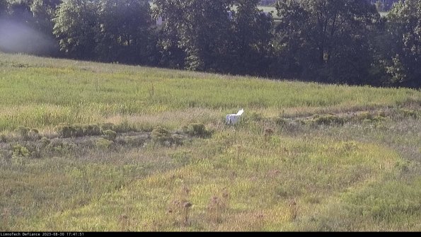 Cell 2 to 3_23-08-30_17-41-51-95