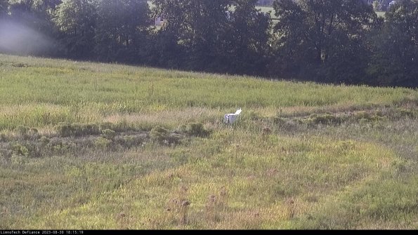 Cell 2 to 3_23-08-30_18-15-20-10