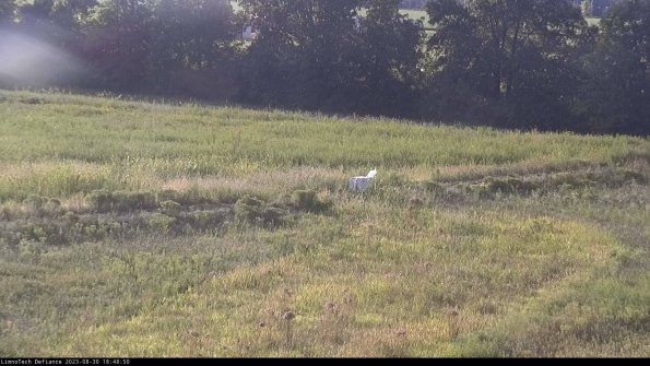 Cell 2 to 3_23-08-30_18-48-50-99