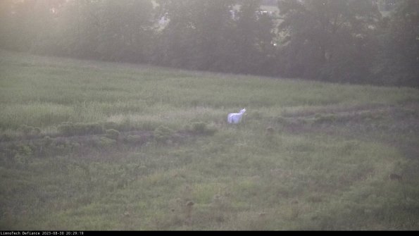 Cell 2 to 3_23-08-30_20-29-19-99