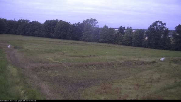 Cell 2_23-08-30_07-05-10-96