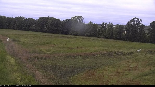 Cell 2_23-08-30_07-38-39-91