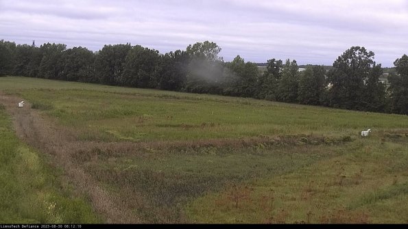 Cell 2_23-08-30_08-12-10-89