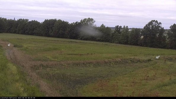 Cell 2_23-08-30_08-45-40-98