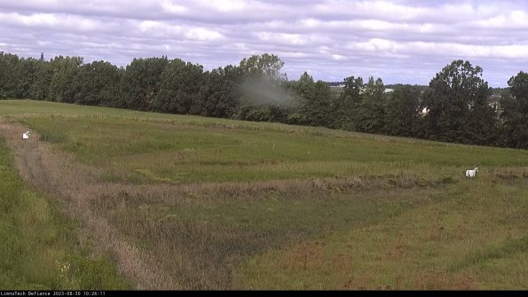 Cell 2_23-08-30_10-26-11-90