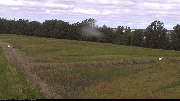 Cell 2_23-08-30_10-59-41-92