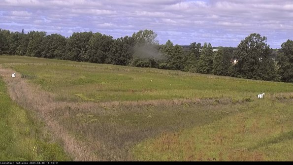 Cell 2_23-08-30_11-33-11-88