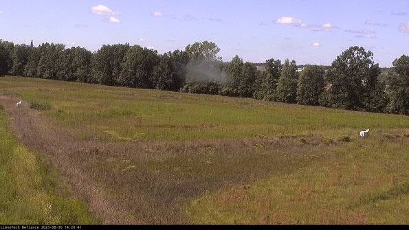 Cell 2_23-08-30_14-20-41-88