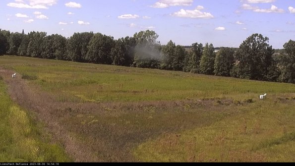 Cell 2_23-08-30_14-54-10-90