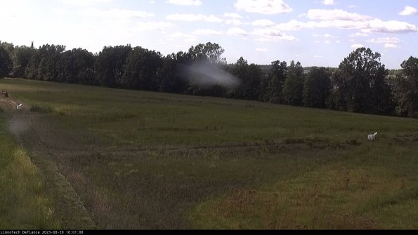 Cell 2_23-08-30_16-01-08-91