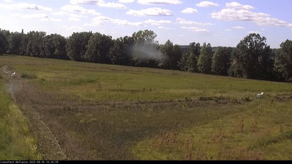 Cell 2_23-08-30_16-34-39-90