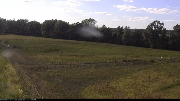 Cell 2_23-08-30_17-41-38-94