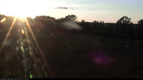 Cell 2_23-08-30_19-55-36-92